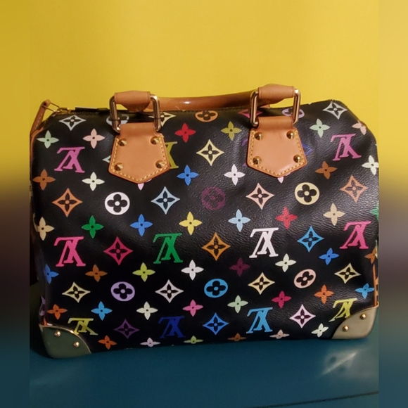 Louis Vuitton Multicolor Speedy - Picture 3 of 16